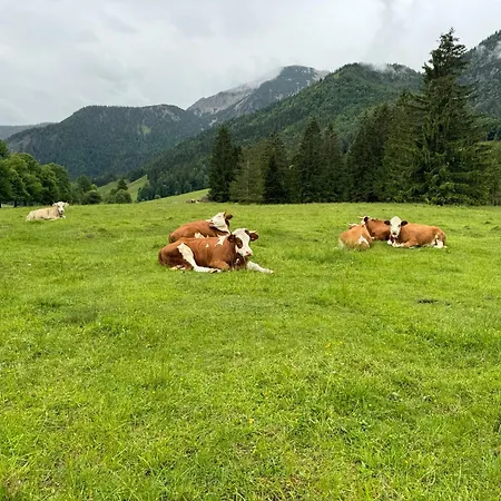 Bergblick Σπίτι διακοπών Bayrischzell